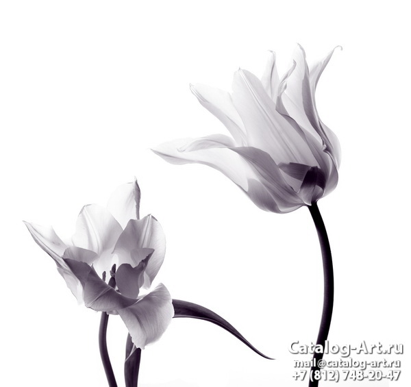 White flowers 34